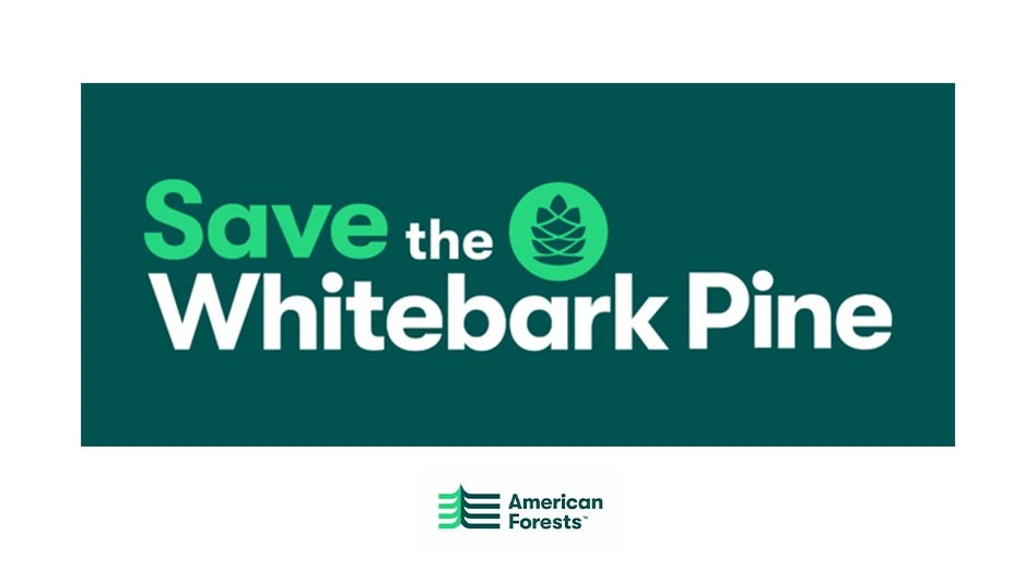 Graphic and logo courtesy of American Forests