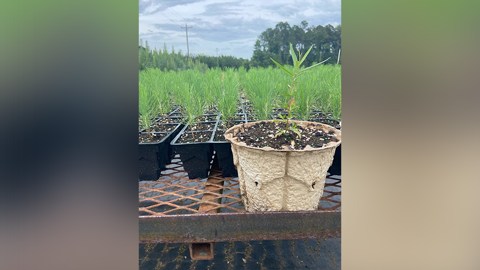 RootMaker Launches Sustainable BioPot - Nursery Management